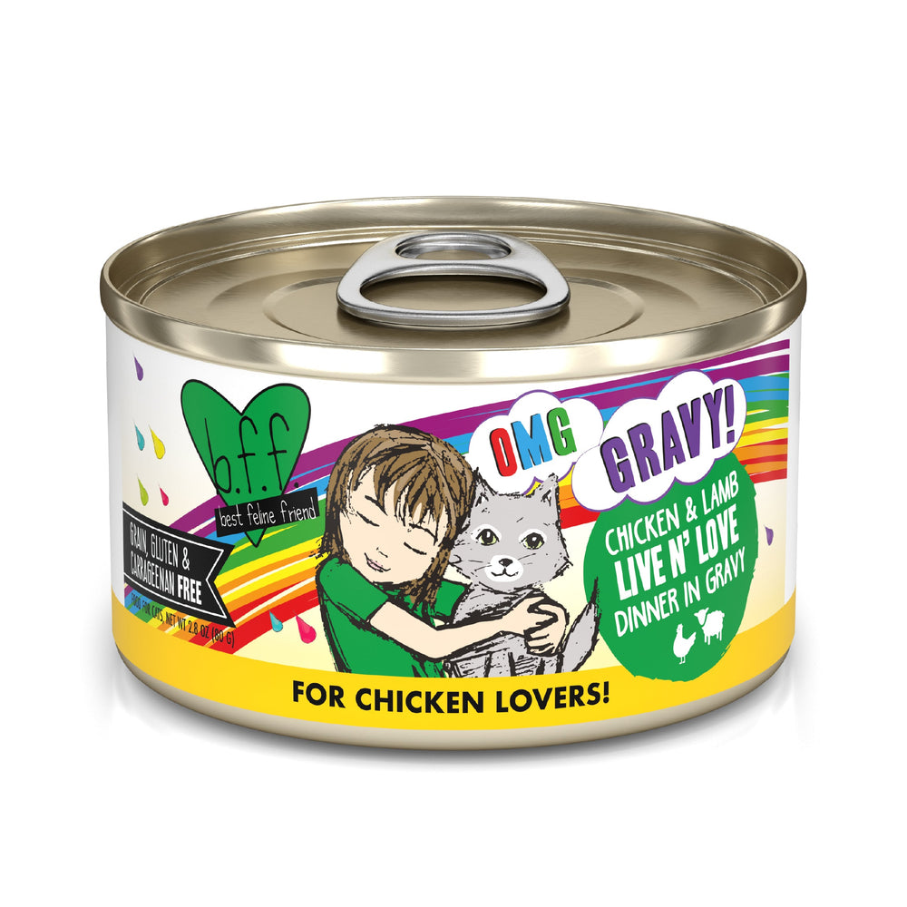 A can of BFF Best Feline Friend Chicken & Lamb Live N' Love cat food, made with cage-free chicken and grass-fed lamb, features a cartoon child hugging a gray cat, rainbow colors, and gluten-free text for chicken lovers.