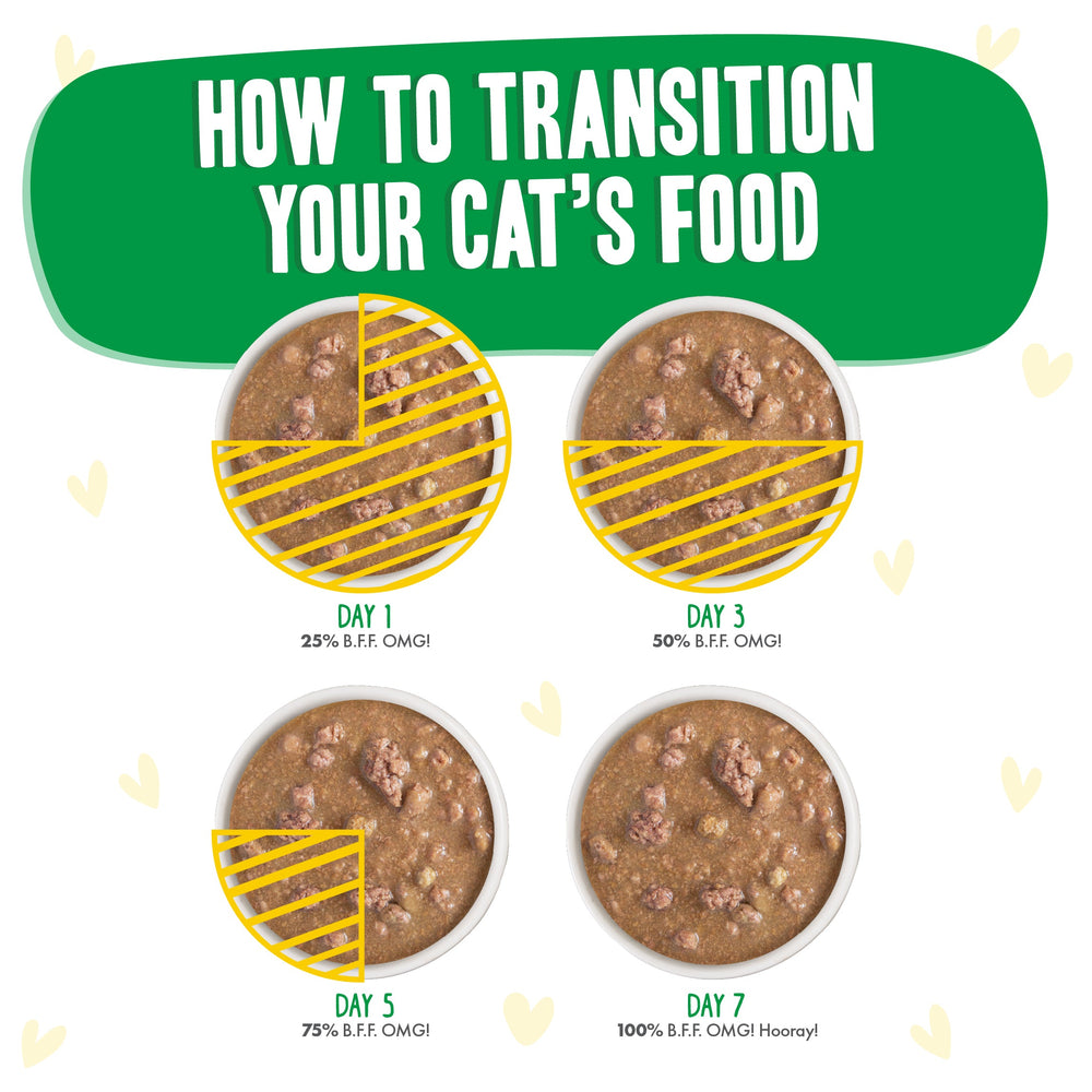 Four bowls show increasing amounts of BFF Best Feline Friend Chicken & Lamb Live N' Love cat food from day 1 to 7, illustrating a transition: 25%, 50%, 75%, to 100%. Text reads How to transition your cat’s food.