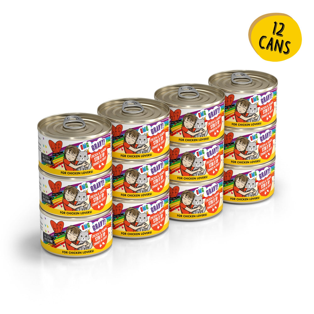 Twelve cans of BFF Best Feline Friend Chicken & Salmon Stir It Up cat food are arranged in four stacks of three. Labels show a cartoon cat, hearts, and "For Chicken Lovers!" with a yellow circle stating "12 CANS.