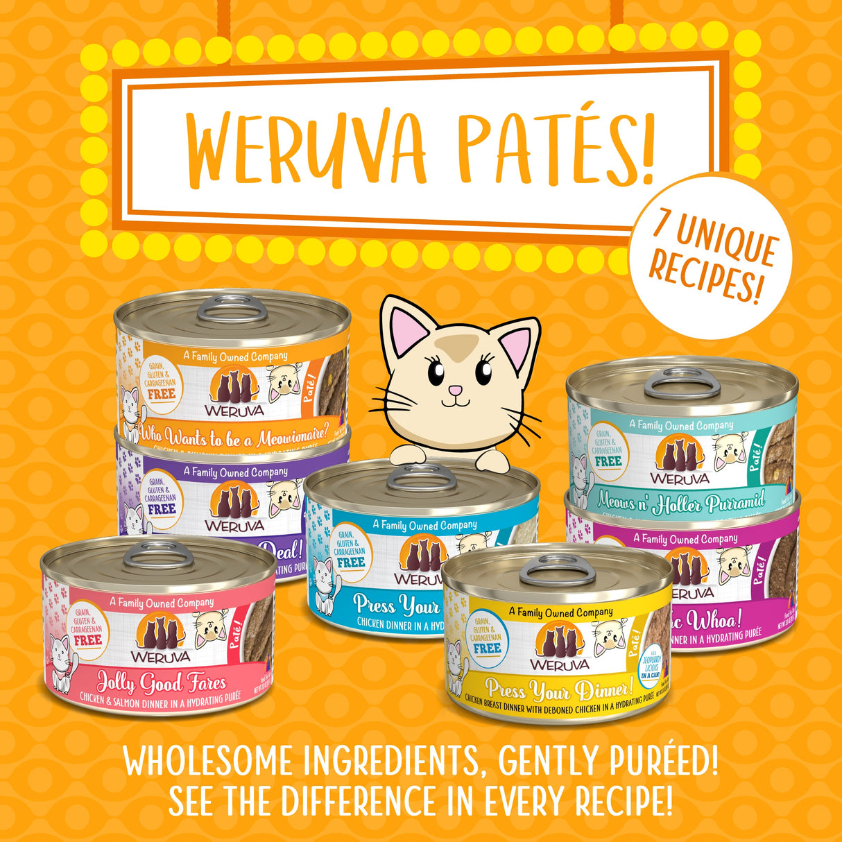 Weruva Classic Cat Pate Who wants to be a Meowionaire with Chicken & Pumpkin Canned Cat Food Weruva Classic Cat Pate Who wants to be a Meowionaire with Chicken & Pumpkin Canned Cat Food