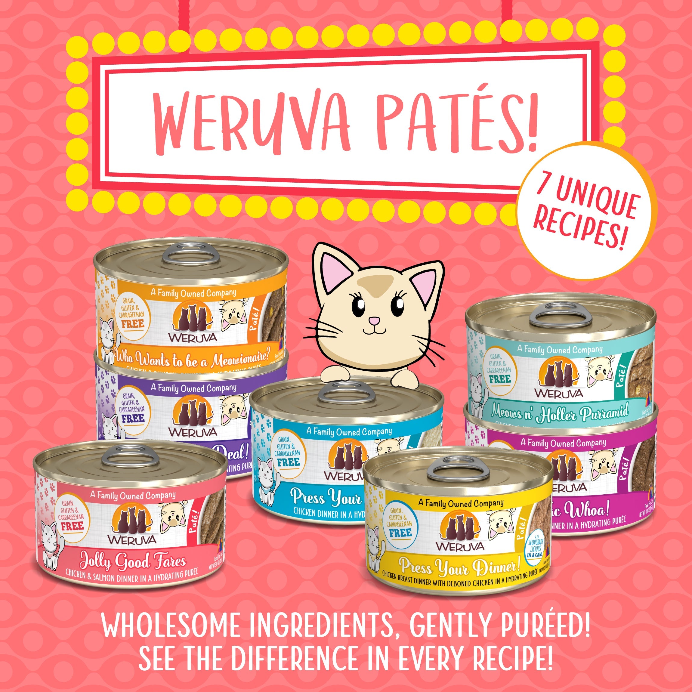 Weruva Cat Pate Jolly Good Fares Wet Cat Food