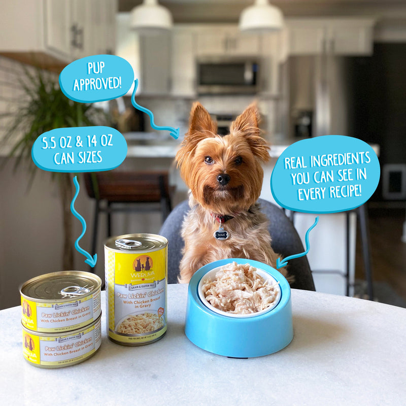 Paws canned dog food sales